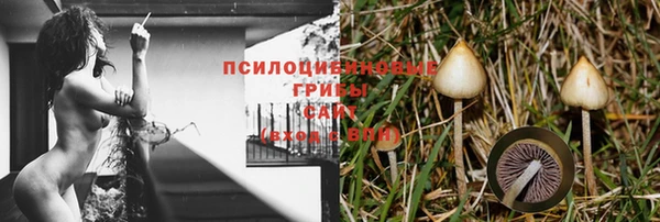 молекула духа Беломорск