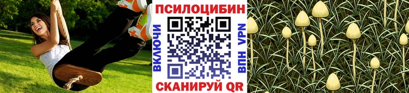 Галлюциногенные грибы Psilocybe  Буйнакск 