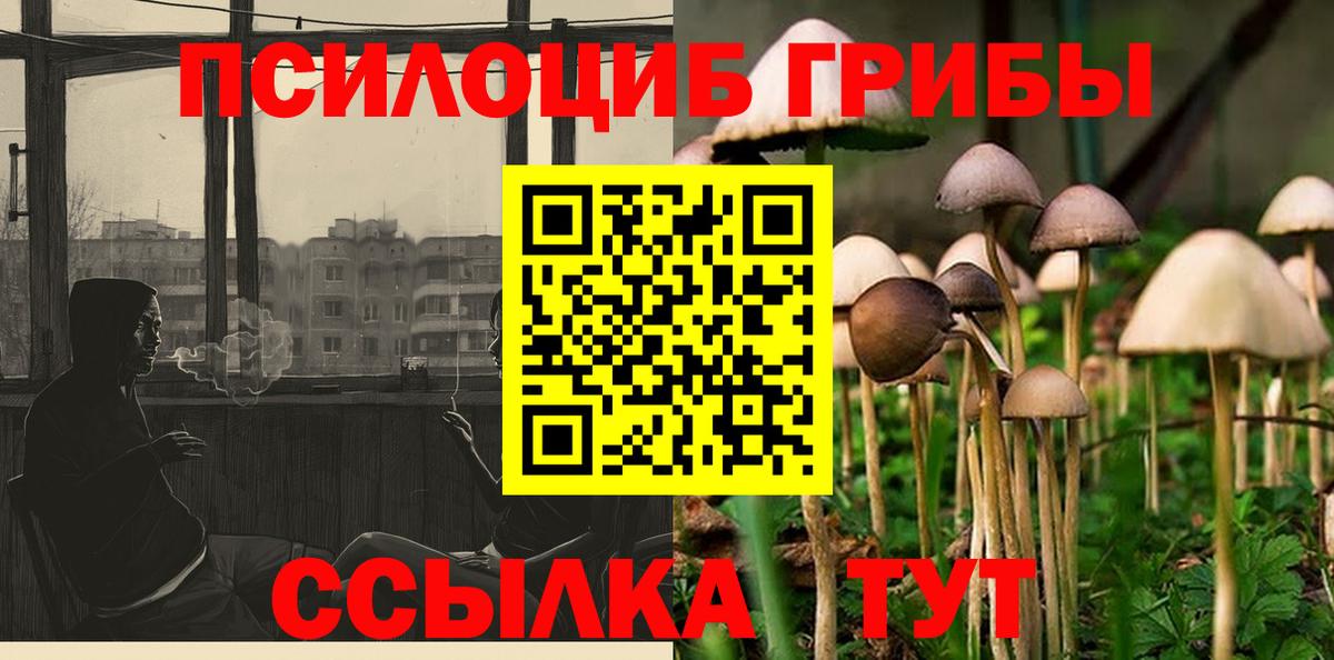 Галлюциногенные грибы Psilocybine cubensis Буйнакск
