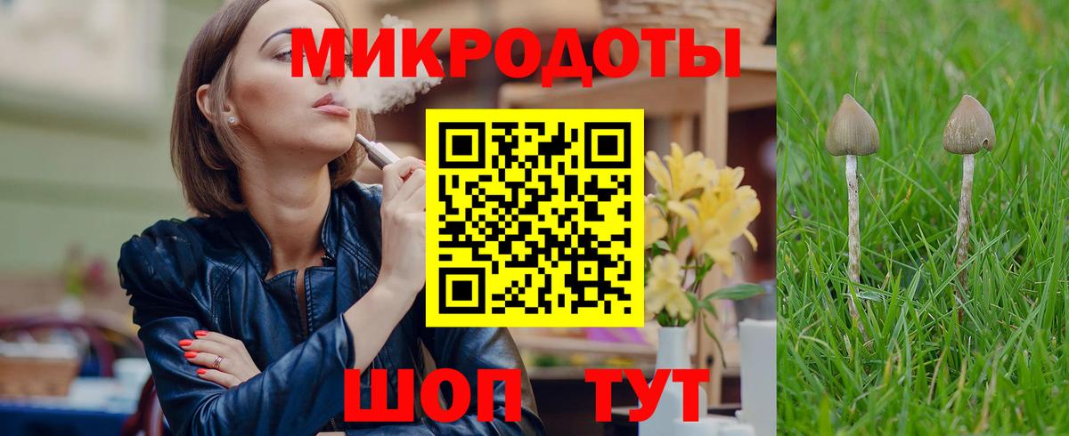 Псилоцибиновые грибы Cubensis  Вход с VPN  где купить   Буйнакск  Псилоцибиновые грибы мухоморы 
